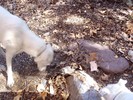 photo thumbnail #10