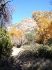 photo thumbnail #12