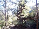2013-10-26 :2: Haunted Canyon #203 :: FOTG