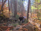 photo thumbnail #1