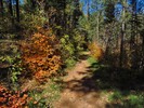 photo thumbnail #3