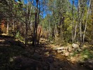 photo thumbnail #4