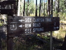 photo thumbnail #12