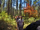 photo thumbnail #13