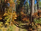 photo thumbnail #14