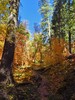photo thumbnail #15