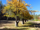 photo thumbnail #4