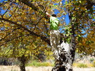 photo thumbnail #6