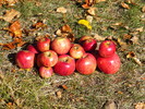photo thumbnail #8