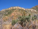 photo thumbnail #8