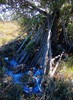 photo thumbnail #13