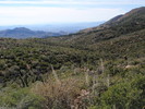 photo thumbnail #5