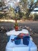 photo thumbnail #8