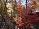 photo thumbnail #12