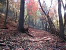 photo thumbnail #13