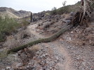 photo thumbnail #3