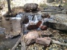 photo thumbnail #4