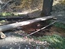 photo thumbnail #10