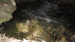 photo of comment