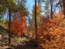 photo thumbnail #9