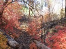 photo thumbnail #11