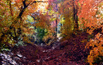photo thumbnail #5