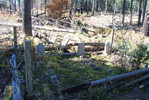 photo thumbnail #3