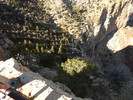 photo thumbnail #14