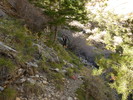 photo thumbnail #11