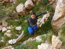 photo thumbnail #2