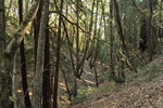 photo thumbnail #8