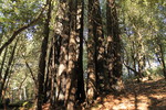 photo thumbnail #9