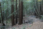 photo thumbnail #11