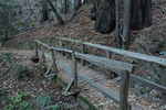 photo thumbnail #12