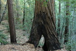 photo thumbnail #13