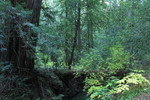 photo thumbnail #15