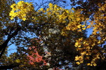 photo thumbnail #14