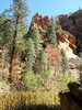 photo thumbnail #10