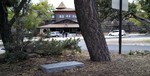 photo thumbnail #2