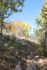 photo thumbnail #9