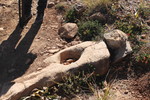 photo thumbnail #10