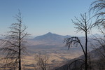 photo thumbnail #12