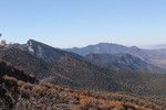 photo thumbnail #15