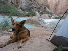 photo thumbnail #6