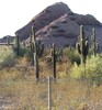photo thumbnail #7