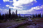 photo thumbnail #7