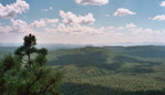 photo thumbnail #7