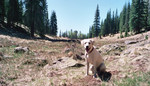 photo thumbnail #6