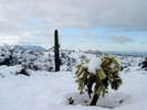 photo thumbnail #4