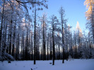 photo thumbnail #6
